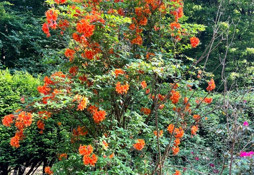 23-06-03 16-51-14 5802